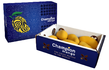 Champion Mango